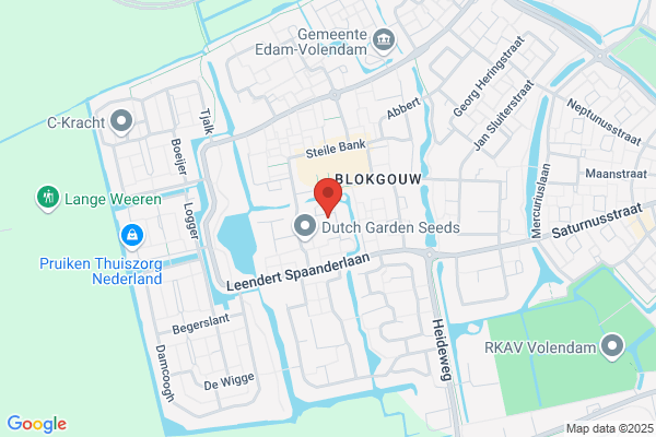 Schilders A & J Volendam