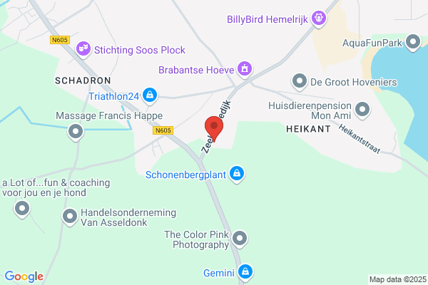 Manders, Bertino