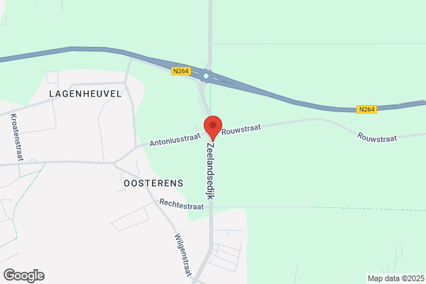 Van Lieshout
