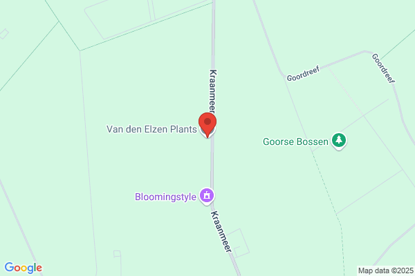 Van Den Elzen Plantenkwekerij Cv