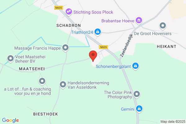 Verbruggen