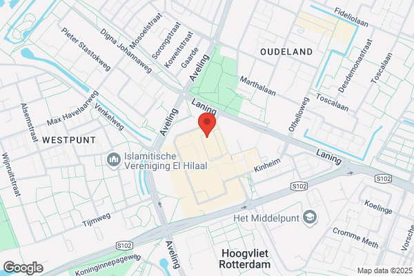 Action Hoogvliet