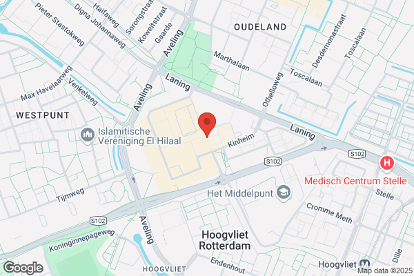 Hoogvliet