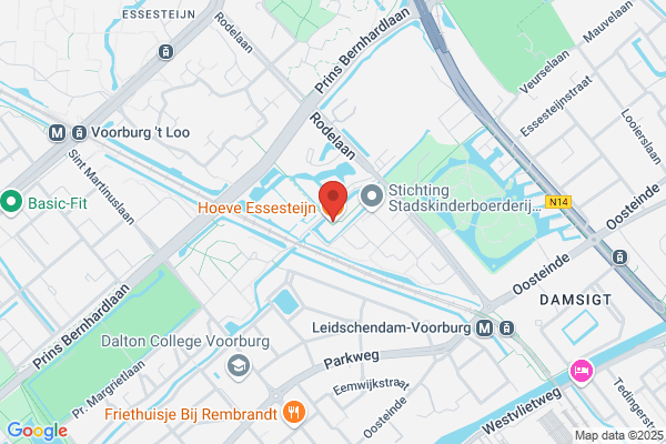 Lagendijk Int
