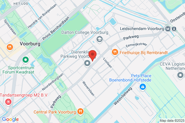 * Kortenbos Fysiotherapie