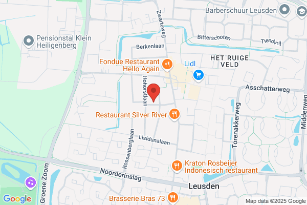 Maasland Bv, S