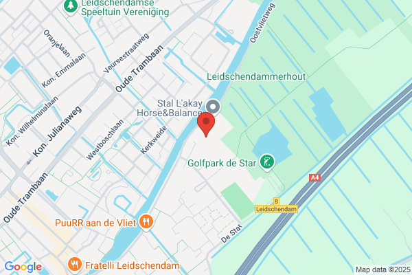 Int Handels- & Transportondern Cor Van Rijswijk bv