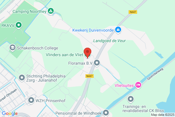 De Blauwe Vlinder