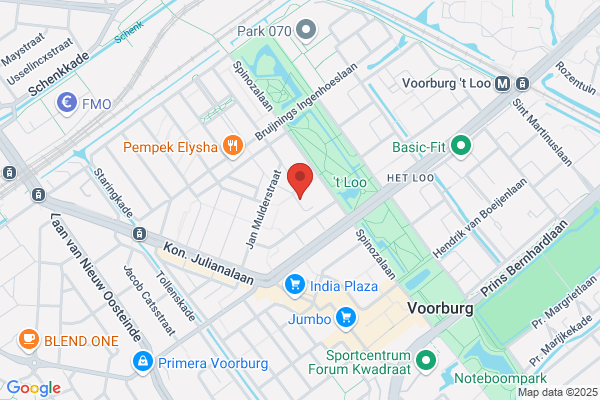 Jong, De