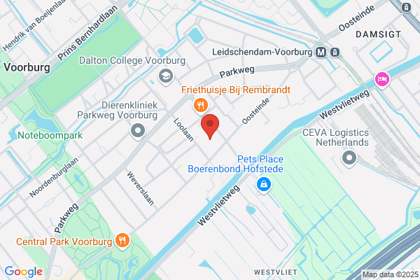 Annemiek Gerrits Medisch Pedicure
