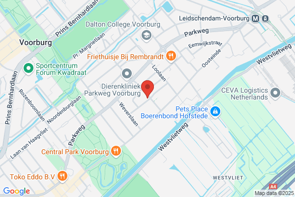 Voeten Inzicht