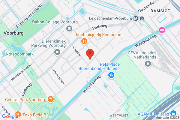 Centr Voor Maatschappelijke Opvang