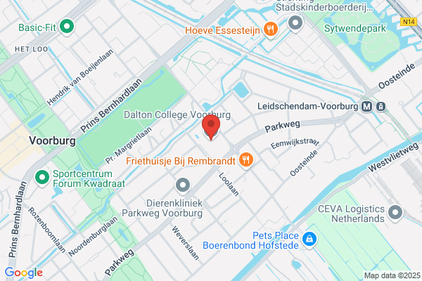 Loo College, Het