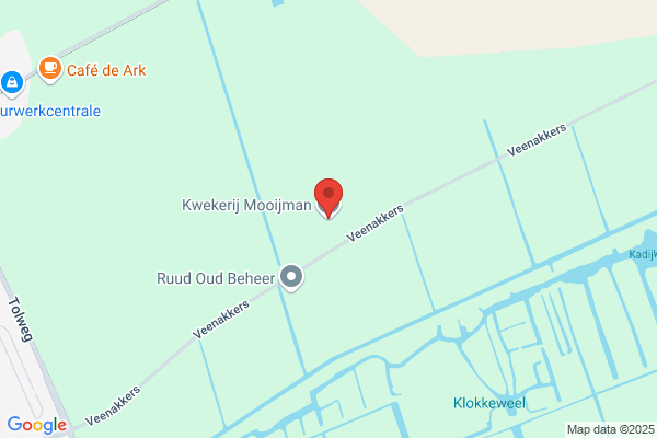 Mooijman