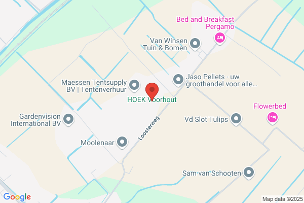 Bos Bv, A M