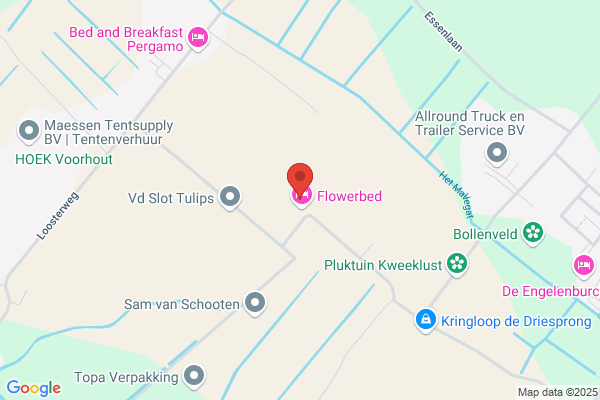 Hoornweg En Sleeboom