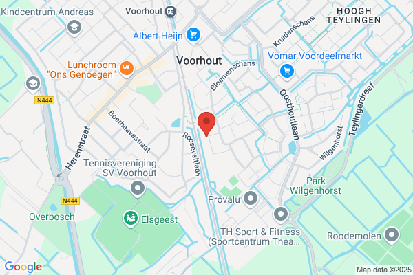 Nlp Training & Consultancy J.P. Van Duur