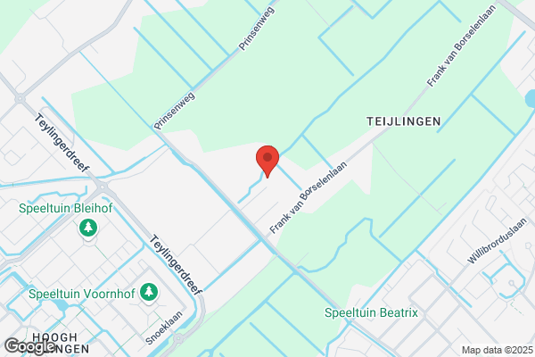 Leeflang, Hans