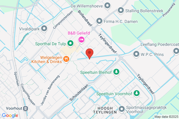 Van Motman & Partners Bv