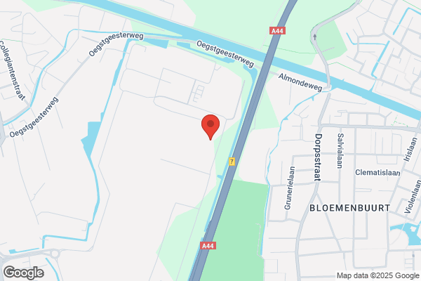C. Van Der Vijver Bloemenexport