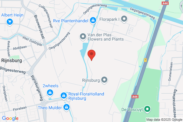 H.Z. Kroon Bloemenexport Rijnsburg Bv