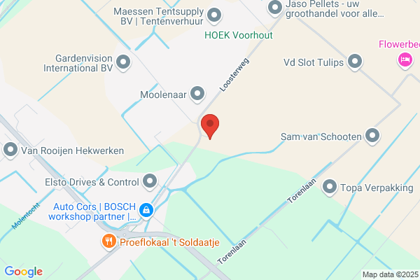 Hoogeboom Plants