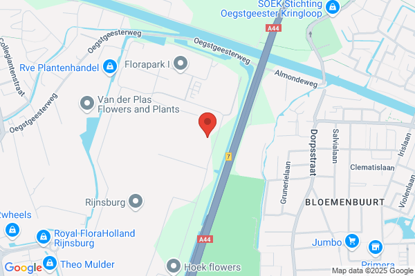 P.J. Duivenvoorden Bloemenexport