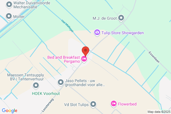 Van Noort Vaste Planten