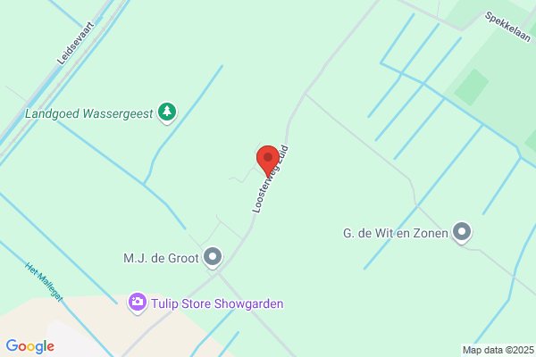 Salm en Zoon C W van der