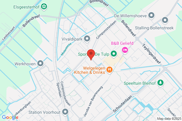 Rhijnsburger