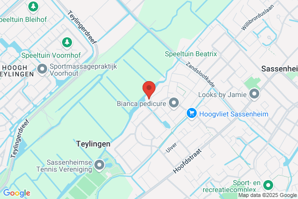 Oude Haven, De