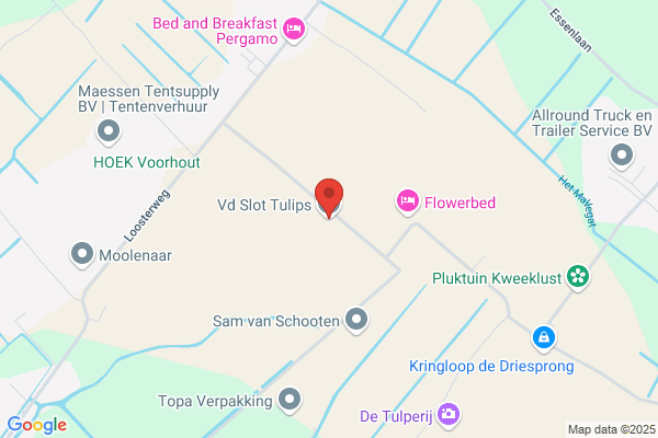 Vogels, De