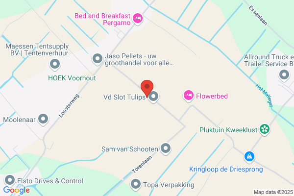 VDSD BV