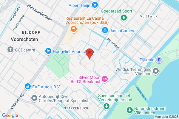 Jong, De