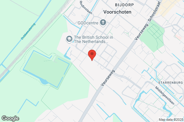 Rijnsons, De