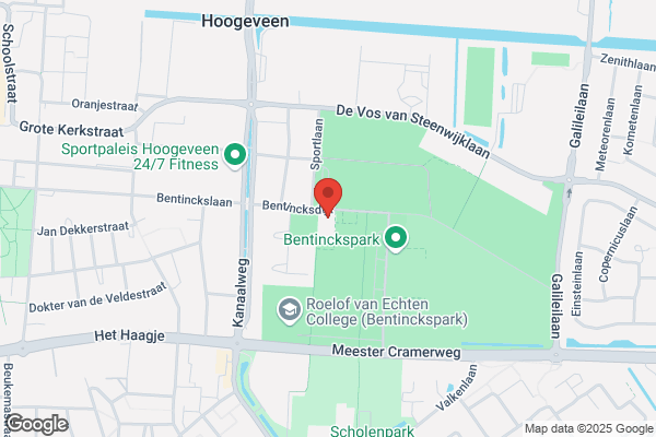 De Dolfijn