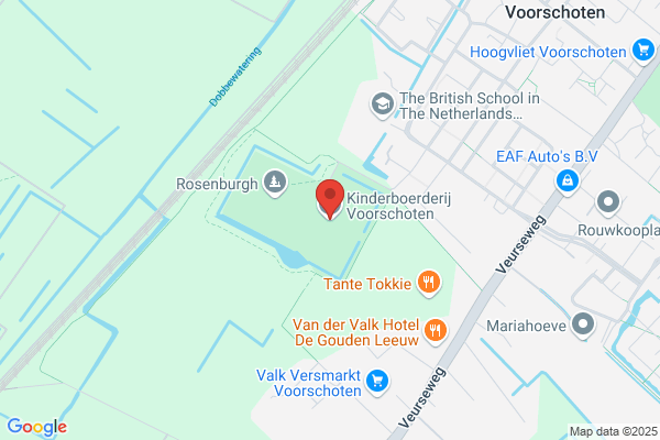Konijn, Het