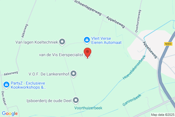 deTintspecialist.nl