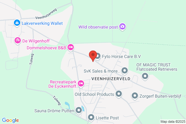 Veenhuizerveld School