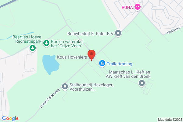 Kous, A