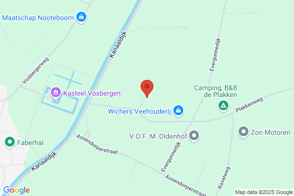 Bruggeman Hoveniers/Ontwerpers/Zwemvijvers