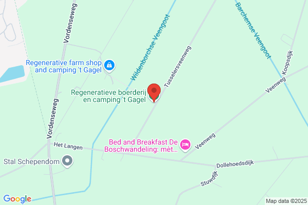 't Gagel