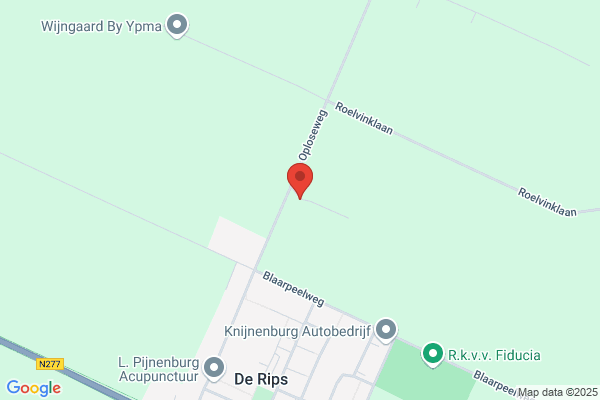 De Groot En Rooijakkers