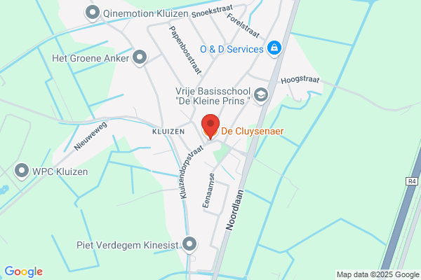 Cluysenaer
