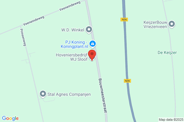 Wolf, Bestratingen L