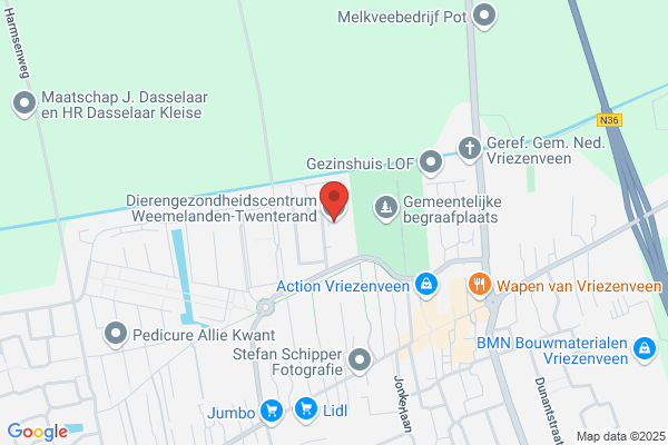 Dierenartsen W.J. Mulder En J.T.M. Hermens