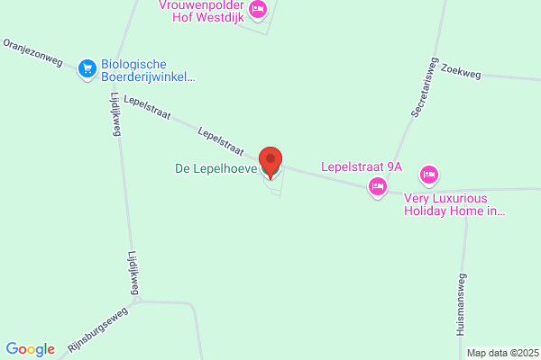 Hoeven, Loes Van Der
