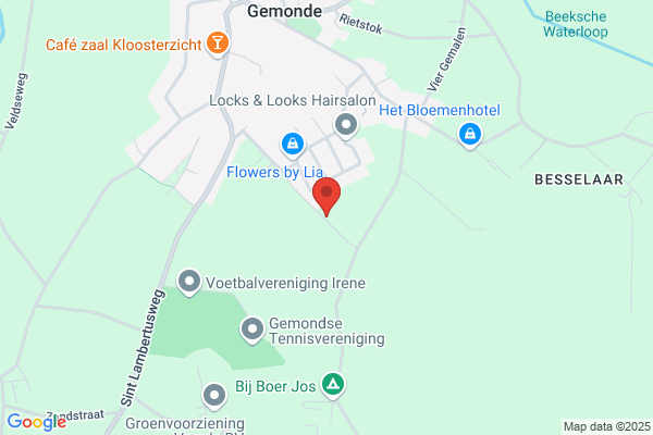 Lieshout Bv, P Van