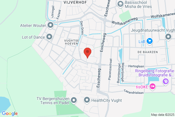 Paranormale Geneeswijzen, Ver Voor