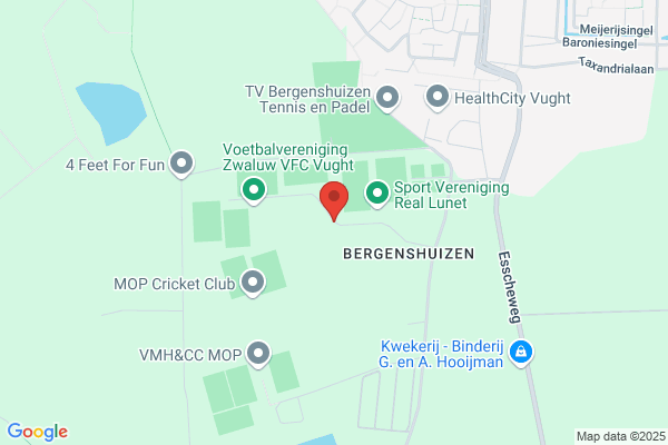 Bergenshuizen
